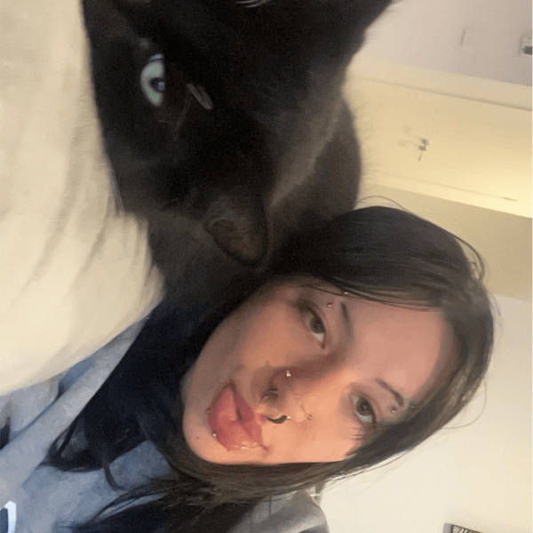 Untitled design Untitled design